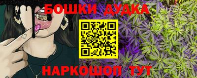 spice Обь